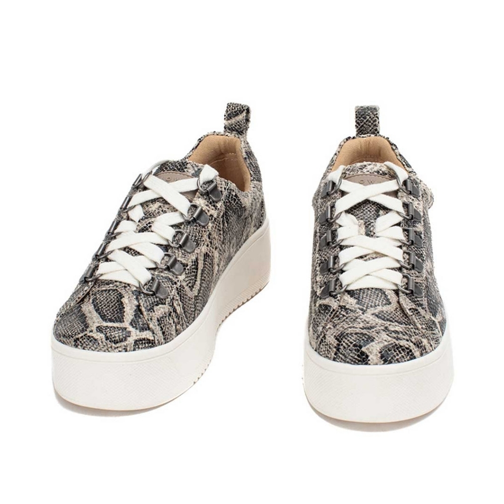 Yellow Box Hadlee Shoe - Snake Print - Size 10